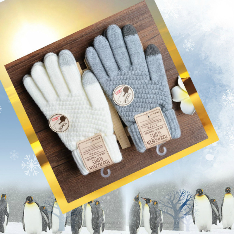 Autumn Winter New Rabbit Hair  - Magic Touch Glove review and price
