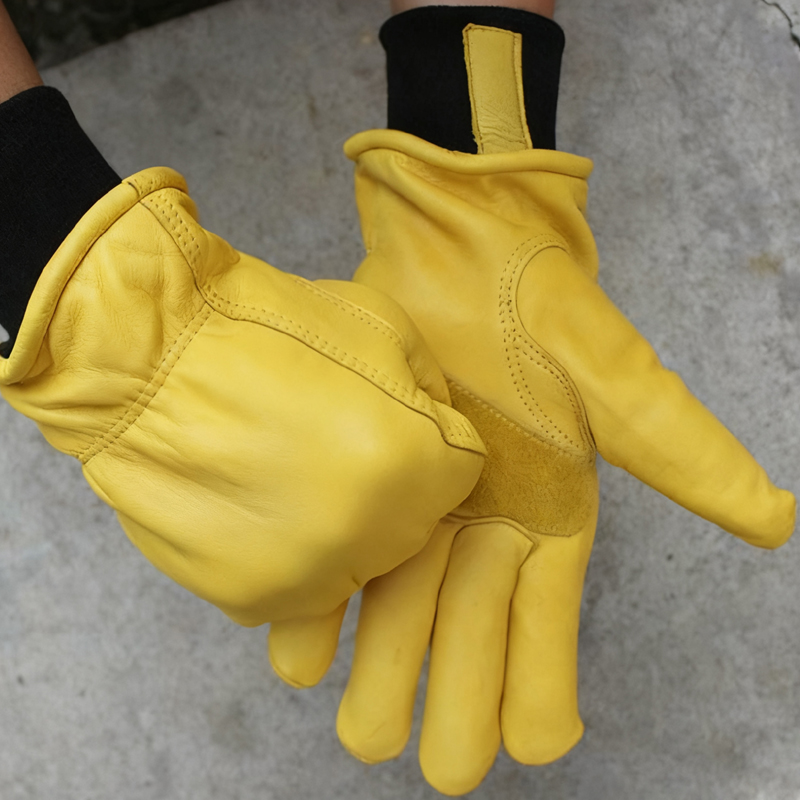 Mens Motorcycle Winter Gloves  - Winter Glove Insulated review and price