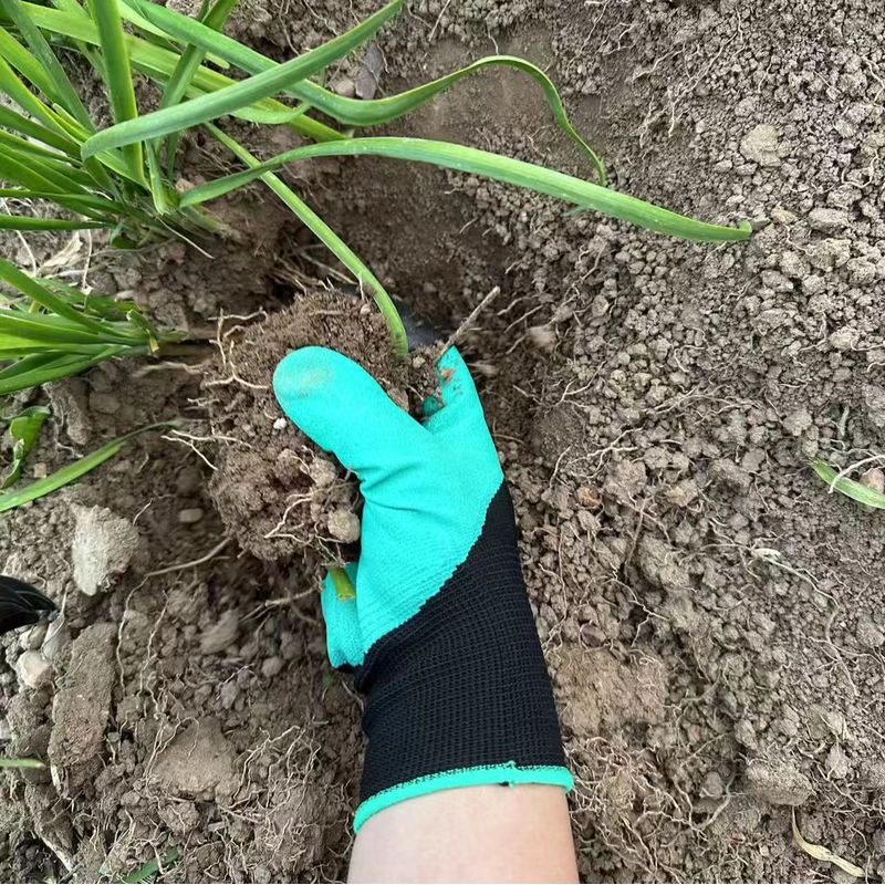 Gardening Gloves with Built-in - Gardening Glove Waterproof review and price